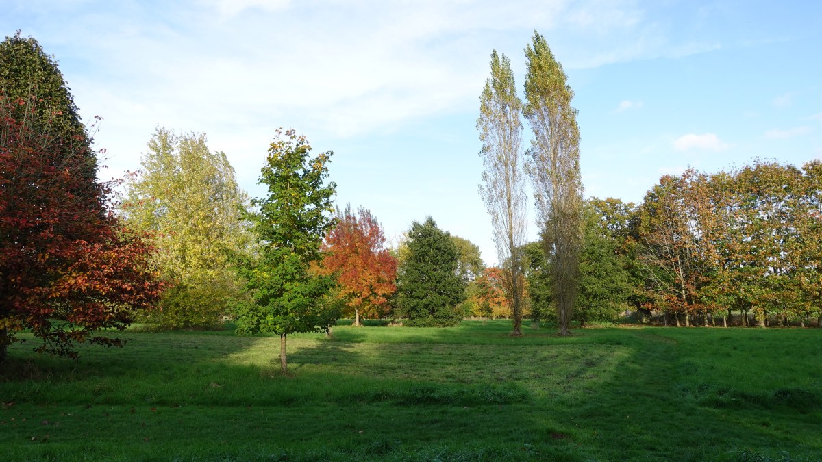 【小曦老師在英國】我家後花園之二訪位於牛津郡的 Waterperry Gardens🌺