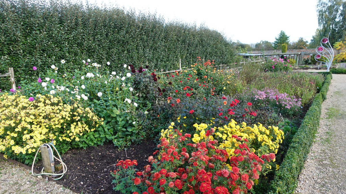 【小曦老師英國生活實用片語】目錄