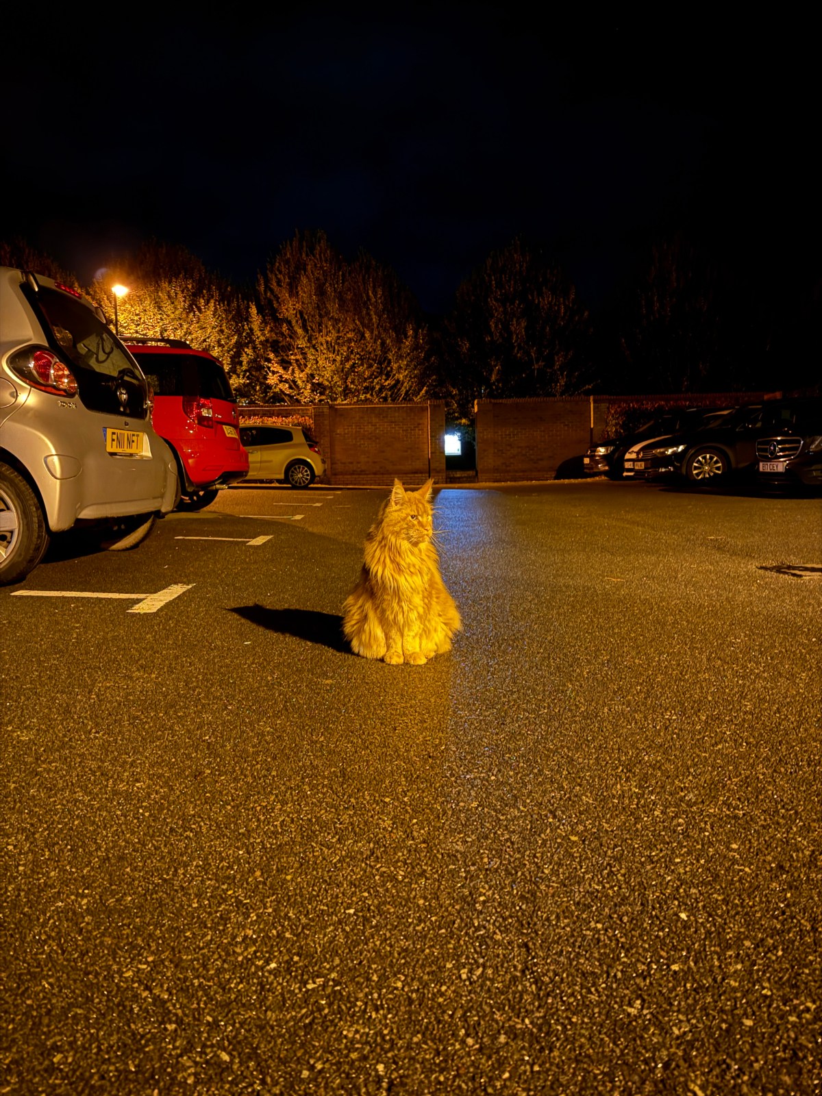 其實是充滿了挫折的一天